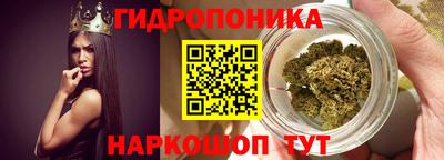 индика Тверь