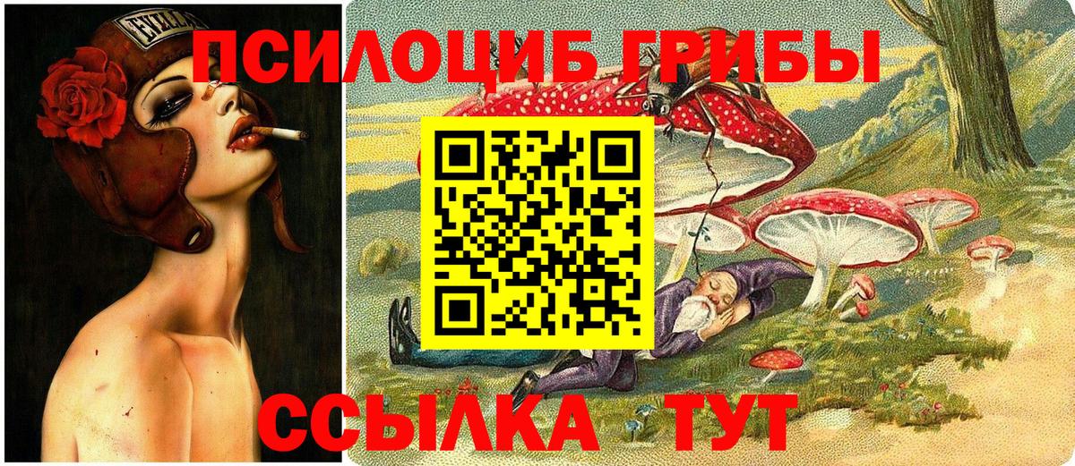 Галлюциногенные грибы Cubensis  Вход с VPN  Псилоцибиновые грибы Magic Shrooms  Новоалтайск 