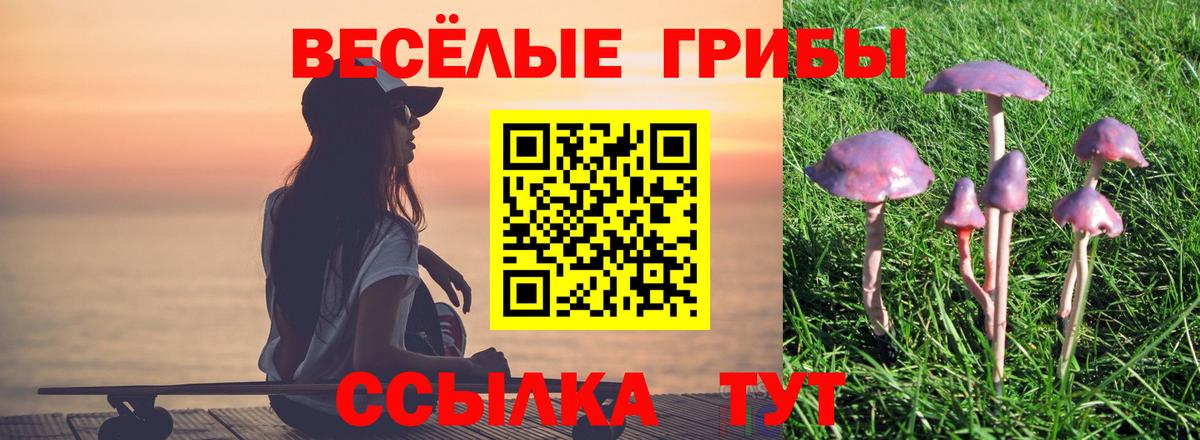 Галлюциногенные грибы GOLDEN TEACHER Новоалтайск